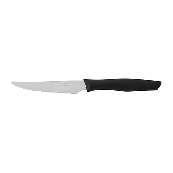 steak knife with serrated blade 110 mm 